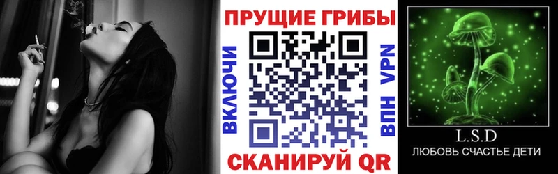 Псилоцибиновые грибы MAGIC MUSHROOMS  Купить где  Магас 